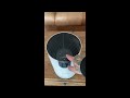 Sound Test: Noise Level of the Shark HP102
