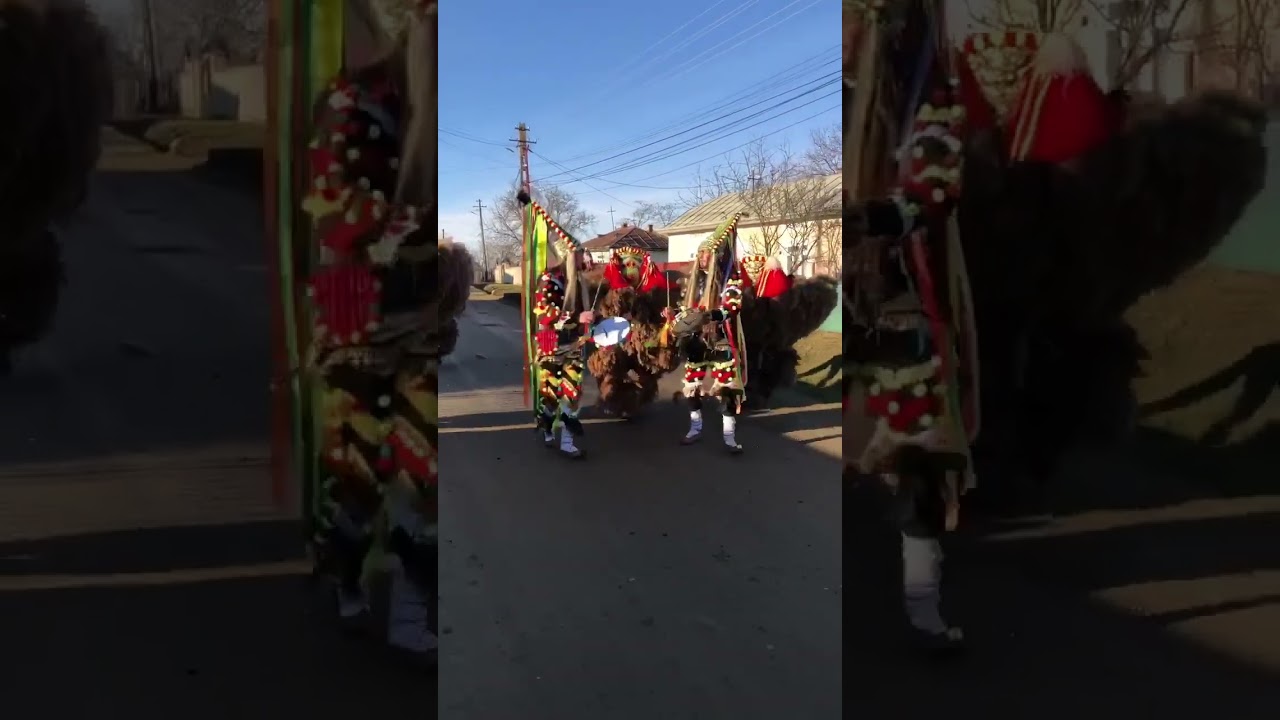 Urșii de la Corni 2023