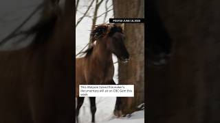This Walpole Island filmmaker's documentary will air on CBC Gem this week