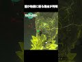 【ゼルダの伝説　ティアキン攻略】竜が地底に出現する理由が判明した【ティアーズ オブ ザ キングダム】