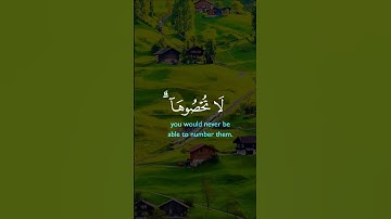 ارح قلبك وروحك وسمعك بآيات من الذكر الحكيم #اكسبلور #قرأن كريم #راحة نفسية