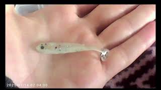 Barschbox Vorbereitung für dei Saison #barsch #fishing #gummifisch 