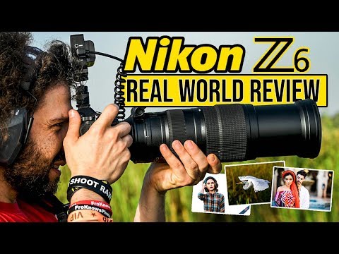 Nikon Z6 Real World Review (vs Sony a7 III vs Canon EOS R: should they be worried?)