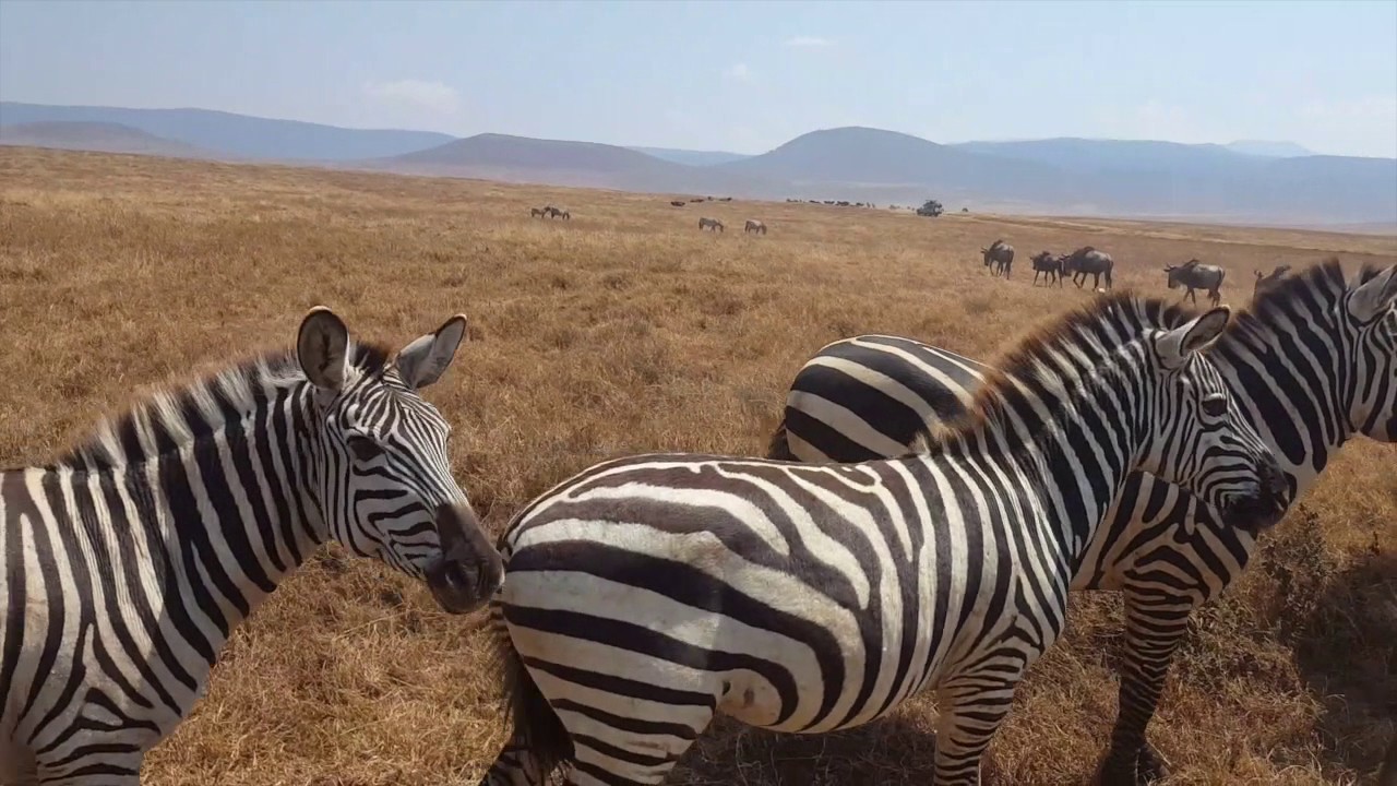 From Cuba to Africa: Best of 2016 Travel Highlights Roaming Around the World