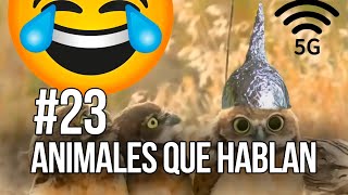ANIMALES QUE HABLAN #23 🤣   CARLOS ROCA @carlosrocalocutor