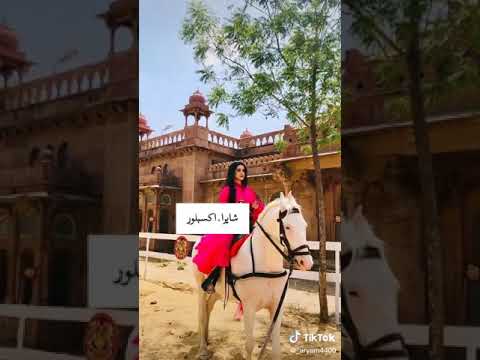 مين احلى مع الحصان من الممثلات الهنديات اجمل تحدي