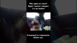 Мем #meme #рекомендации #funny #cat #жиза #ржака #shorts