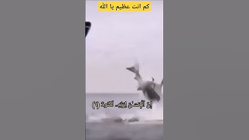 (إِنَّ الْإِنسَانَ لِرَبِّهِ لَكَنُودٌ.... )💖بصوت القارئ الشيخ خالدالجليل #قرآن_كريم #خالد_الجليل