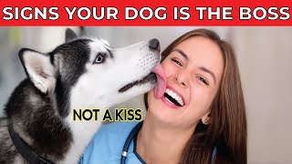 10 Crazy Signs Your Dog Thinks They’re the Boss