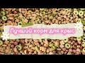 Корма для крыс 🐀 | Уборка у крыс 🐀