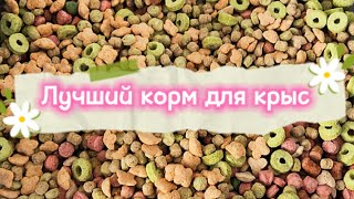 Корма для крыс 🐀 | Уборка у крыс 🐀