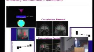 Risk: The Neural Basis of Decision Making