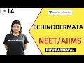 L14: Echinodermata | Animal Kingdom | Pre-medical - NEET/AIIMS | Ritu Rattewal