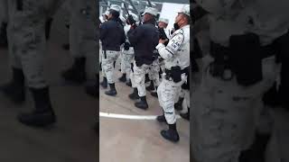Porras Para Trotar Ejercito Y Guardia Nacional