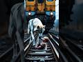 قصة الذئب الأبيض ينقذ طفل من قطار قصة إنقاذ حيوانات لطيفة Whitewolf الذئب الأبيض Story قصة الذئب الأبيض ينقذ طفل من قطار قصة إنقاذ حيوانات لطيفة Whitewolf الذئب الأبيض Story