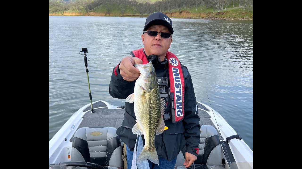Lake Berryessa Bass fishing in March