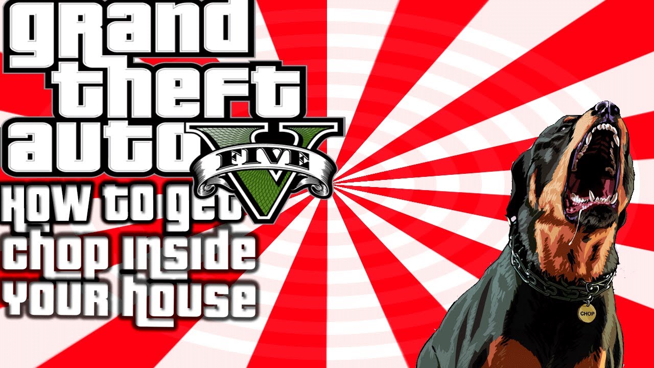 GTA 5 How To Get Chop Inside Your House GTA V YouTube