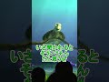 1日何メートル泳げるの?【タートルトーク】東京ディズニーシー