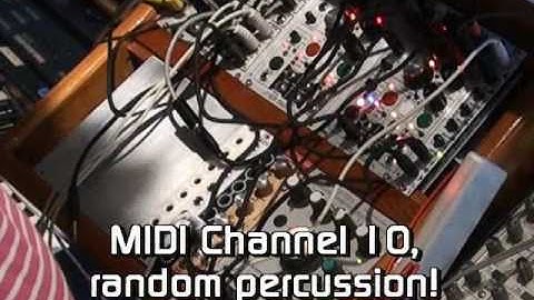 SDS_VCO+Reflex LiveLoop Jammin