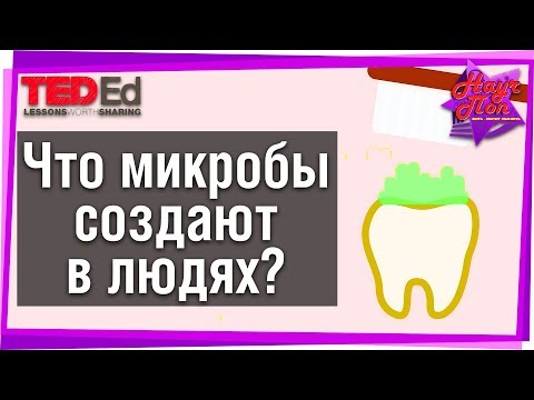 🐍 Микробы создают джунгли вокруг и внутри нас?! [ ted ed на русском ]