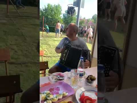 #Гармонь, волейбол, застолье.