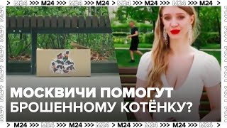 СОЦИАЛЬНЫЙ ЭКСПЕРИМЕНТ: Как москвичи относятся к брошенным животным - Москва 24