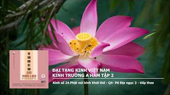 K.Trường A Hàm tập 2 – K.số 24 Phật nói K.Khởi thế – Q4– P6 Địa ng 