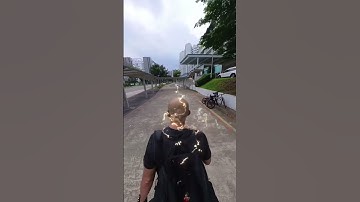 Testing Insta360 Flash Dash