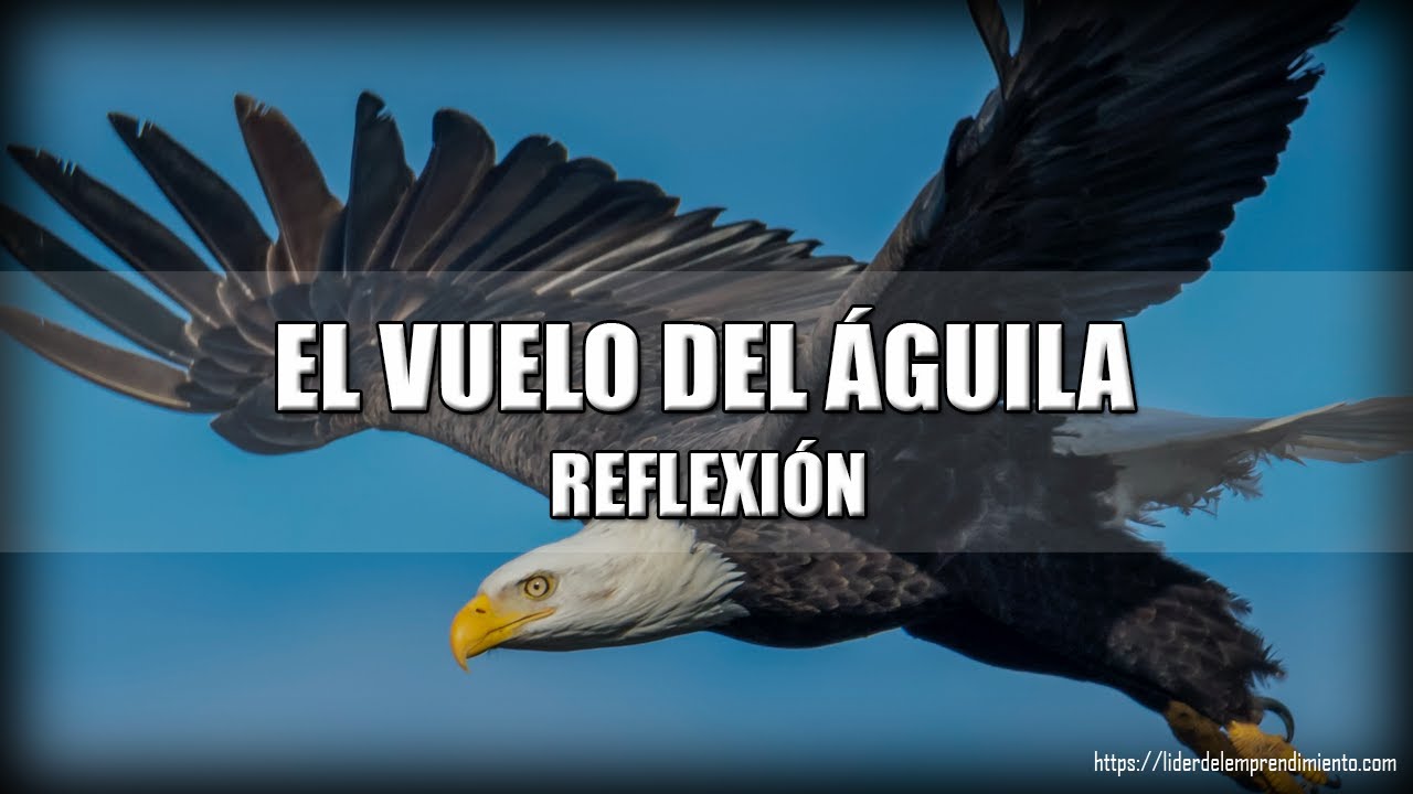 Reflexión | El vuelo del águila - YouTube