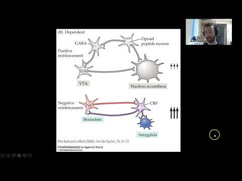 PSY305: Withdrawal and Opponent Process Theories