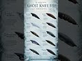10 Amazing Ghost Knife Fish Breeds!Which one is your favorite? 🖤⚡#ghostfish #shorts