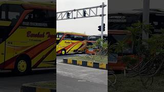 Bus Barokah,bus Setyawan dan bus Garin trans