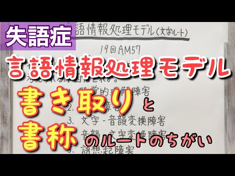 【解説】認知神経心理学的な書字のルート