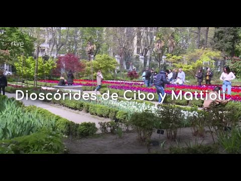 Video: Museo de las especias en San Petersburgo: descripción de la exposición, cómo llegar, reseñas