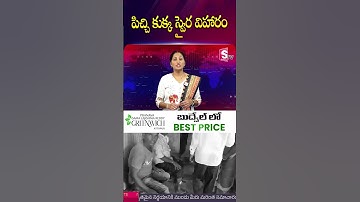 పిచ్చి కుక్క స్వైర విహారం #amangal #dogIncident #hospital #DogByte #Rangareddy  |SumanTV Nirupama