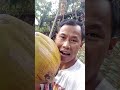 coconut water so delicious #highlights #coconut #youtubeshorts