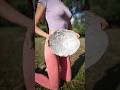 How to Start a Fire with a Foil Reflector Cup? #Bushcraft #firestarting #girlcamping