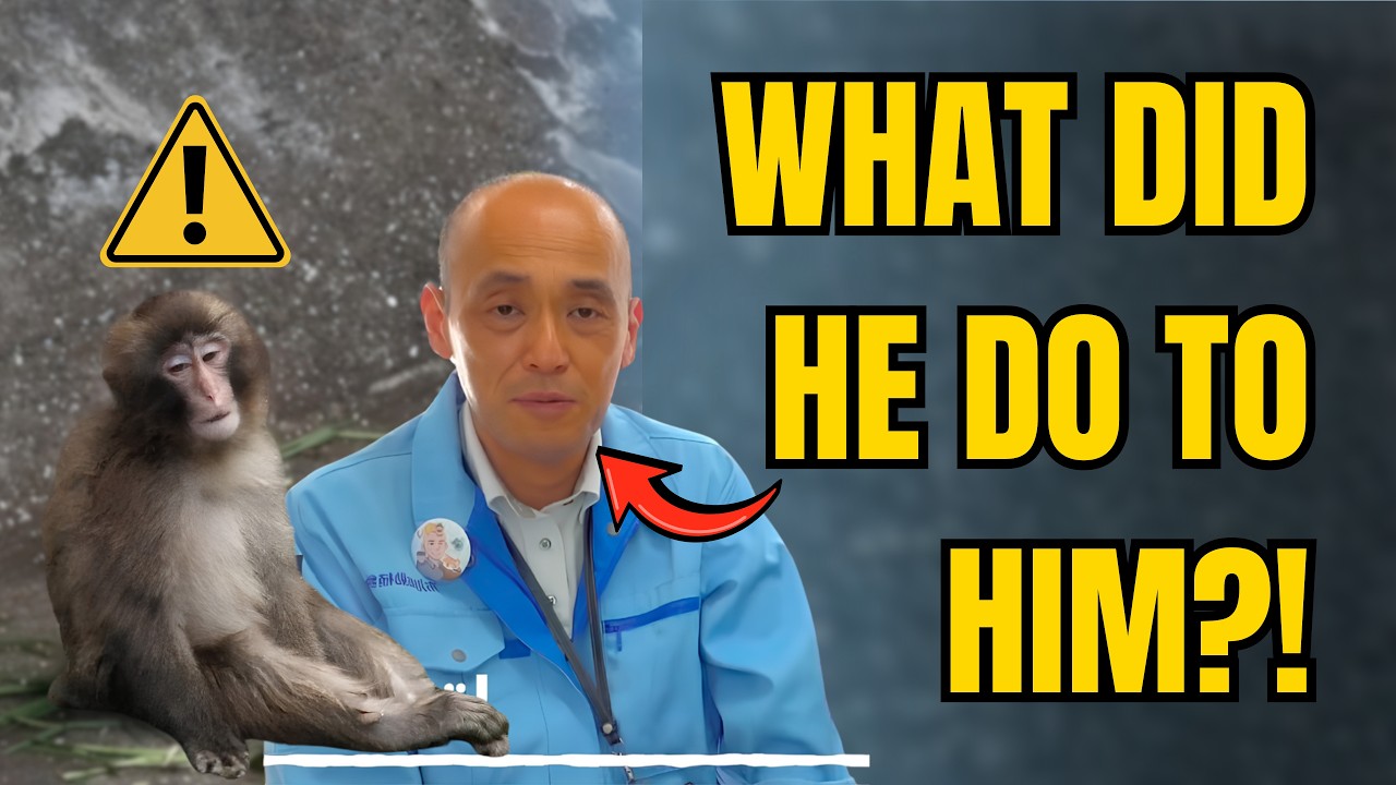 Biological Thermoregulation in Japanese Macaques