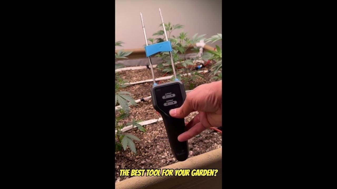 Bluelab Pulse Meter Review YouTube