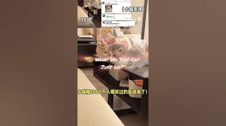 Watch the video about 😹 Funniest Cat Video Ever | Try Not to Laugh 🤣 | Cat Fails Compilation #FunnyCats #CatFails #shorts