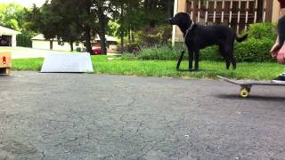 Hardflip Trickapedia