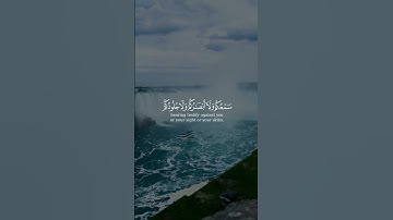 ﴿وَقالوا لِجُلودِهِم لِمَ شَهِدتُم عَلَينا ﴾ من سورة فصلت بصوت الشيخ ياسر الدوسري