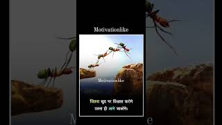 Hindi Line Motivational || Nice Line True Line Hindi Quotes || Motivational || virus motivational