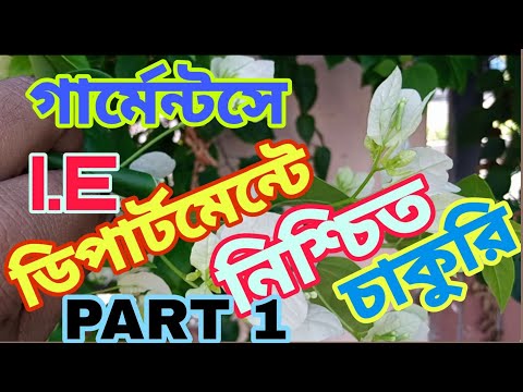 ভিডিও: পরিবেশে ie কি?