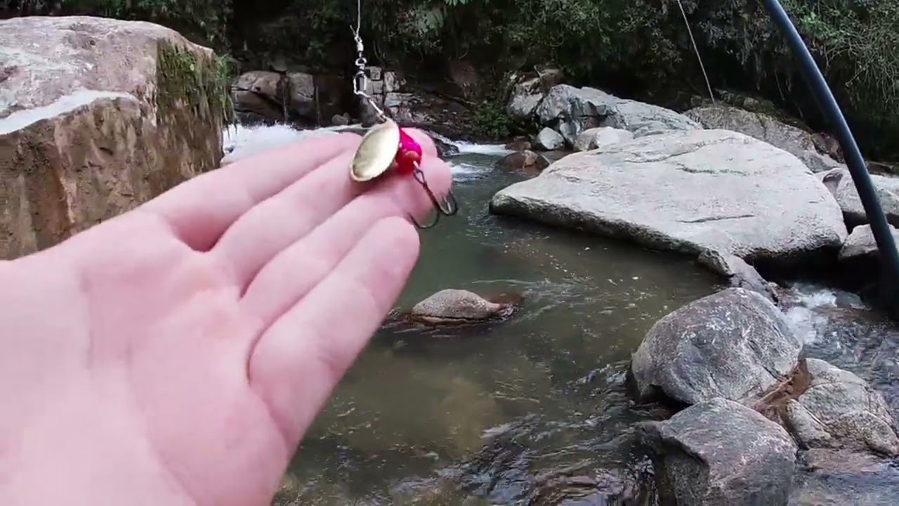 Pesca de Sabaleta con cuchara o cucharilla. ¿El mejor señuelo?