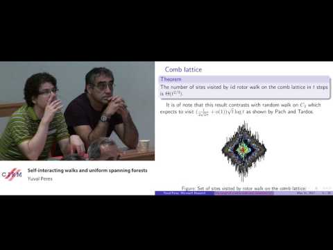 Yuval Peres: Self-interacting