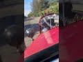 loud music, loud cars