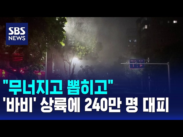 "무너지고 뽑히고"..'바비' 상륙에 240만 명 대피 / SBS 모닝와이드 1부