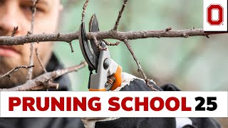 Online Fruit Pruning School  | 2025