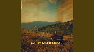 Neden Bu Kadar Uzaktasın - Sahipsizler Sokağı